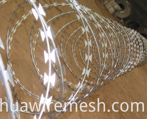 Competitive Price With Best Selling Concertina Razor Wire1